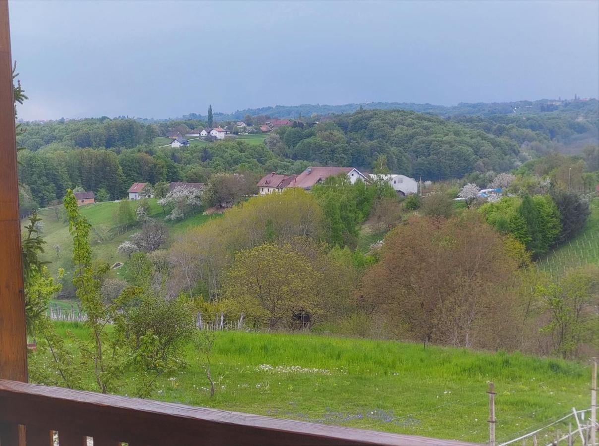 Apartma-Spa Natura Sveti Jurij ob Scavnici Exterior photo